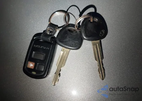 2003 Hyundai Santa Fe Gls/Lx из США, поврежденный, VIN KM8SC73EX3U484879